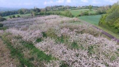 Regarder Vergers route de la Brique Brunembert
