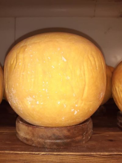 Mimolette affinée. Les différents stades